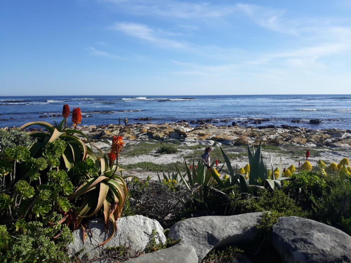 Guinea Fowl House Guest house Kommetjie